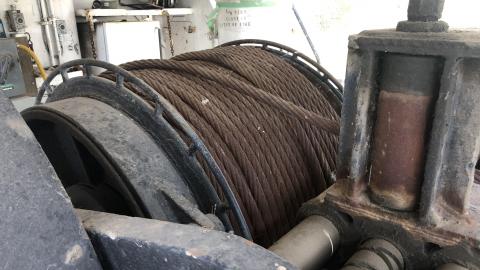 Early July 2020 - 9F42623B-F1E1-4FD7-B25B-F1418580EE0F.jpeg