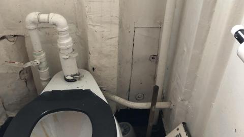 Early July 2020 - 24FBCD1E-12E2-4441-9330-BFF1E288C97C.jpeg