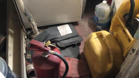 Early July 2020 - A7EB3383-DFF8-4B7A-A3C8-9222B54E9D74.jpeg