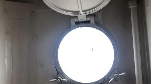 Early July 2020 - 8C43F143-F336-4460-BE98-2EA34C1204E0.jpeg