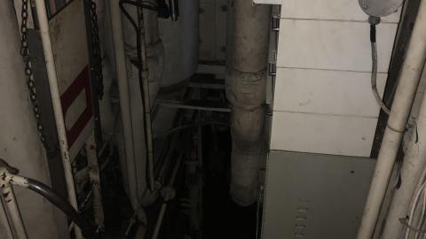 Photo from Early July 2020