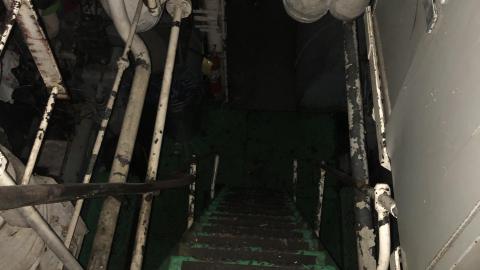 Early July 2020 - 43B0CF0E-297F-4A57-AC84-45B38987736E.jpeg