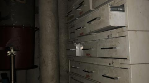 Early July 2020 - FFAA5B09-6FF9-49BD-AC1C-581BC4CB7C10.jpeg