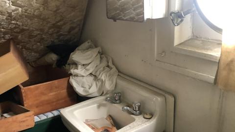 Early July 2020 - 05B74B5E-EF63-4FF3-9D43-A1965B0906AF.jpeg