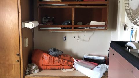 Early July 2020 - ABCF1B46-2AFE-41DF-99A4-24FD54EA3DC8.jpeg