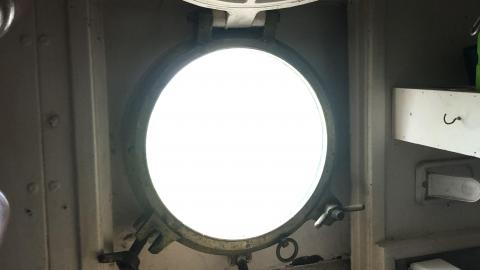 Early July 2020 - 838131CA-3980-487F-8EC7-17F63918922A.jpeg