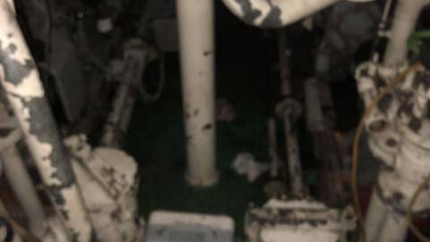 Late July 2020 - 093378D1-72DA-409D-B0B0-238359062D6D.jpeg