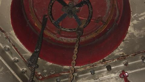 Late July 2020 - 8A379CFB-7023-43AB-AFBD-6923705E804D.jpeg