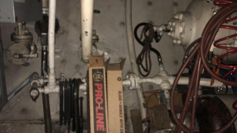 Late July 2020 - 1B29E606-BBD5-4724-AE3F-4EBE7C57BFE2.jpeg