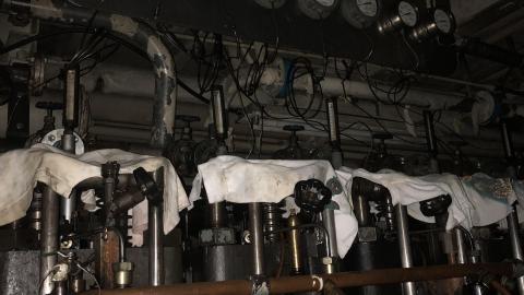 Late July 2020 - 90E0BA95-7CD1-4224-B545-B1181B18F7A1.jpeg