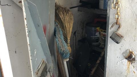 Late July 2020 - 1EA37754-6A20-4BA9-947D-9CB7E9B9AC67.jpeg