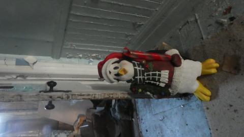 August 2020 - P1030763 - Copy.JPG