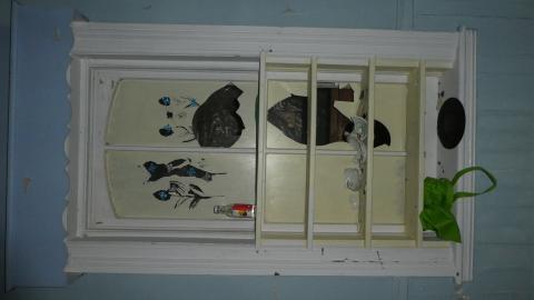 August 2020 - P1030765.JPG