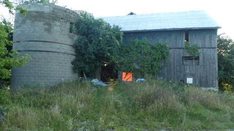 August 2020 - P1030782.JPG