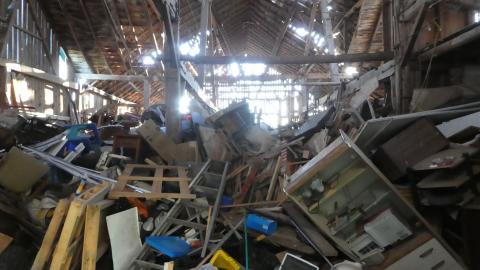 August 2020 - P1030783.JPG