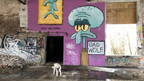 Barber Paper Mill - BarberMill  (1).JPG