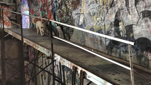 Barber Paper Mill - BarberMill  (3).JPG