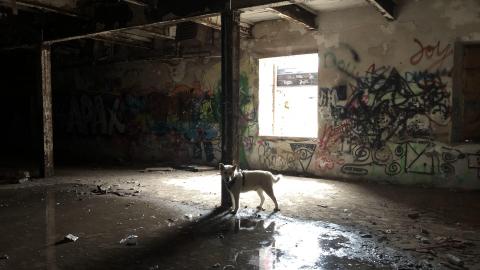 Barber Paper Mill - BarberMill  (5).JPG