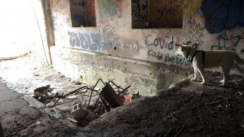 Barber Paper Mill - BarberMill  (6).JPG