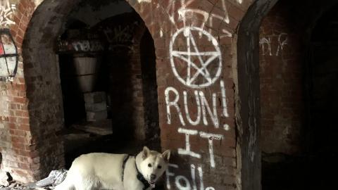 Barber Paper Mill - BarberMill  (11).JPG