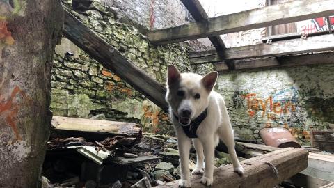 Barber Paper Mill - BarberMill  (13).JPG