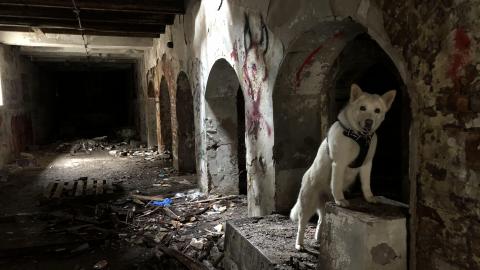 Barber Paper Mill - BarberMill  (18).JPG