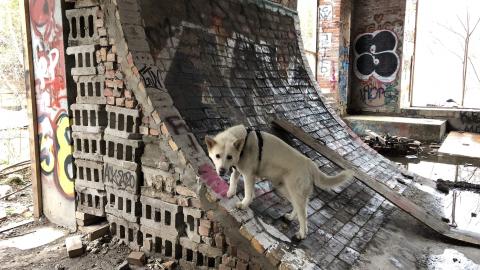 Barber Paper Mill - BarberMill  (28).JPG