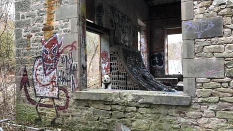 Barber Paper Mill - BarberMill  (31).JPG