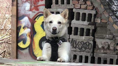 Barber Paper Mill - BarberMill  (32).JPG