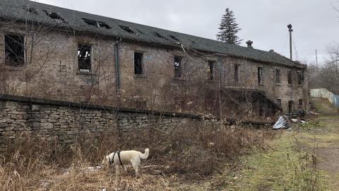 Barber Paper Mill - BarberMill  (40).JPG