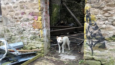 Barber Paper Mill - BarberMill  (44).JPG