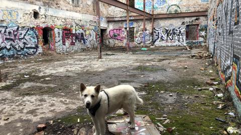 Barber Paper Mill - BarberMill  (50).JPG