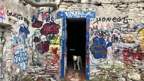 Barber Paper Mill - BarberMill  (52).JPG