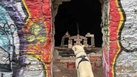 Barber Paper Mill - BarberMill  (55).JPG