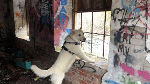 Barber Paper Mill - BarberMill  (57).JPG