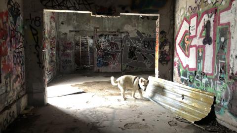 Barber Paper Mill - BarberMill  (60).JPG