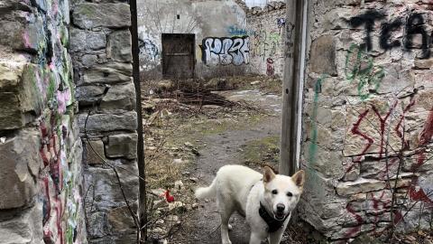 Barber Paper Mill - BarberMill  (64).JPG