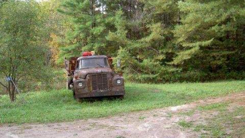 Shanick (ghost town murder) cover photo