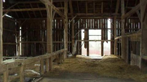 Old Barn photo 5