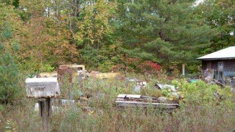 Shanick (ghost town murder) photo 2