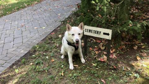Milton Cemetery - Milton Cemetery  (2).JPG