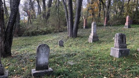 Milton Cemetery - Milton Cemetery  (5).JPG