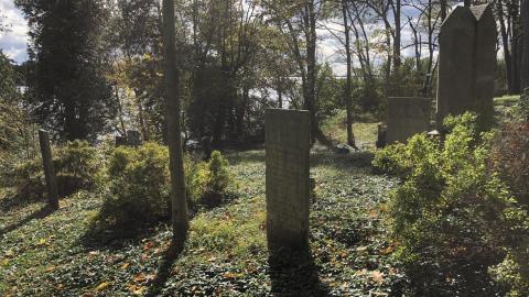 Milton Cemetery - Milton Cemetery  (18).JPG