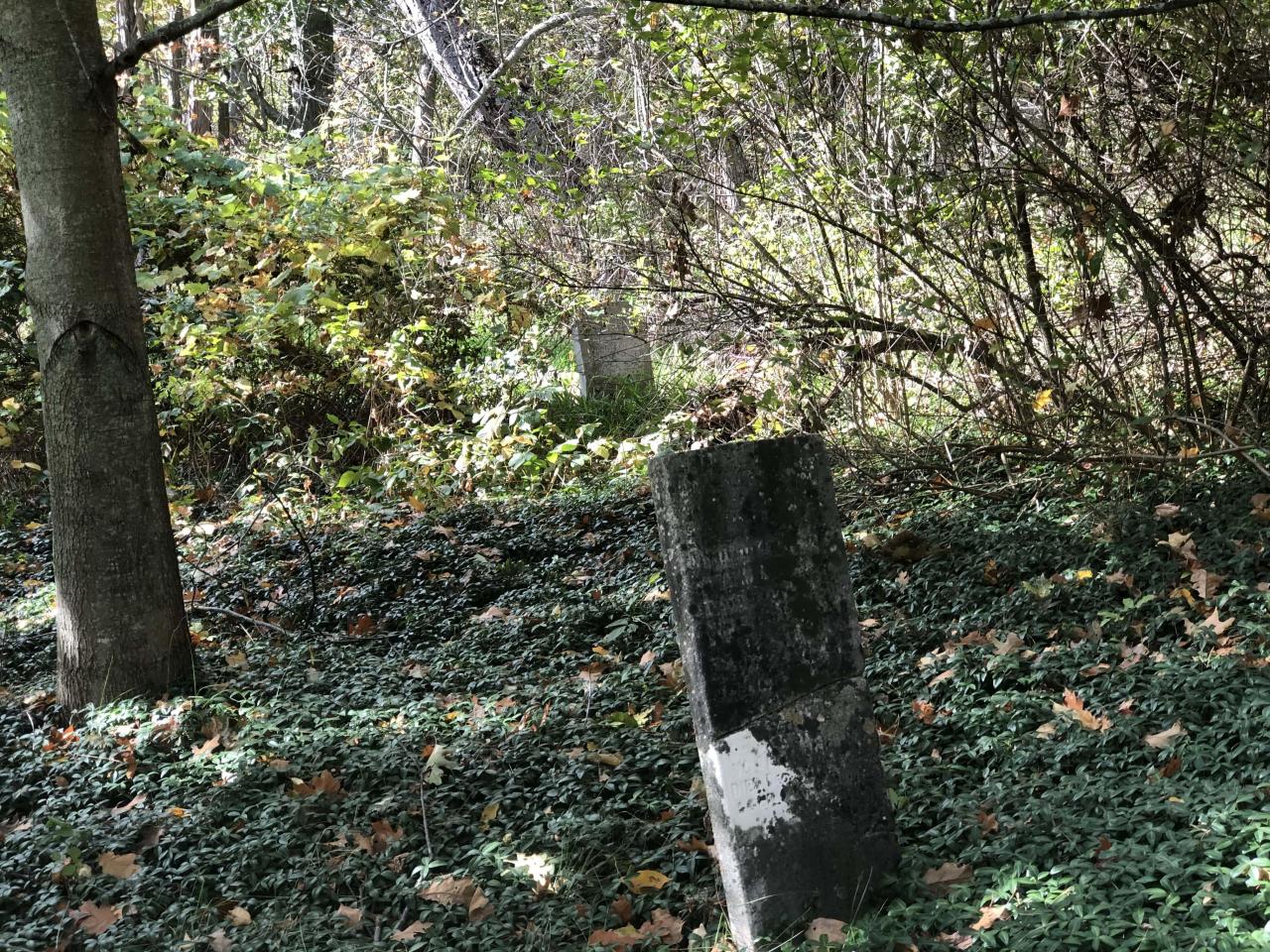 Milton Cemetery - Milton Cemetery  (19).JPG