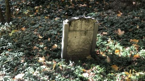 Milton Cemetery photo 3