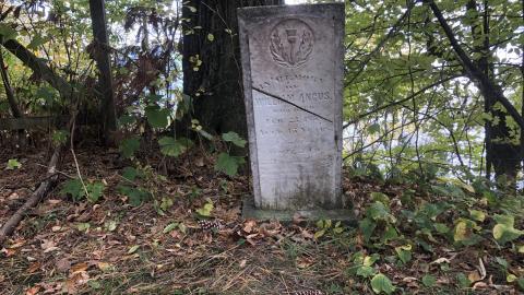 Milton Cemetery - Milton Cemetery  (26).JPG