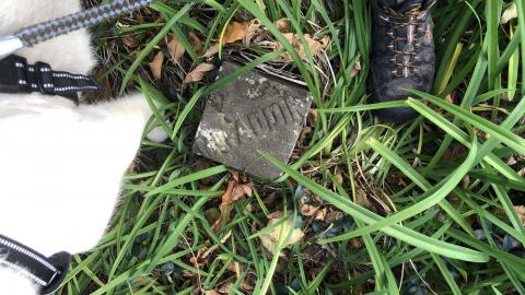 Milton Cemetery - Milton Cemetery  (41).JPG