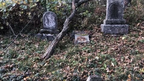 Milton Cemetery - Milton Cemetery  (43).JPG