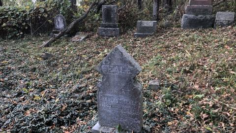 Milton Cemetery - Milton Cemetery  (46).JPG