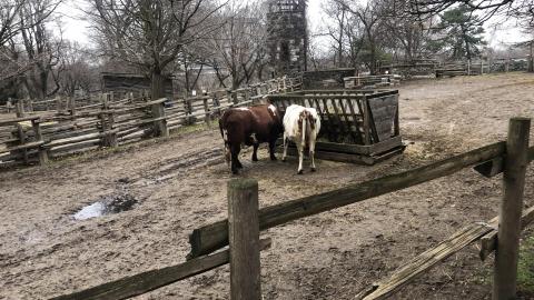 Closed for the Season (2020) - 2C28B54F-132D-43E6-9009-F6D411BB4DD0.jpeg